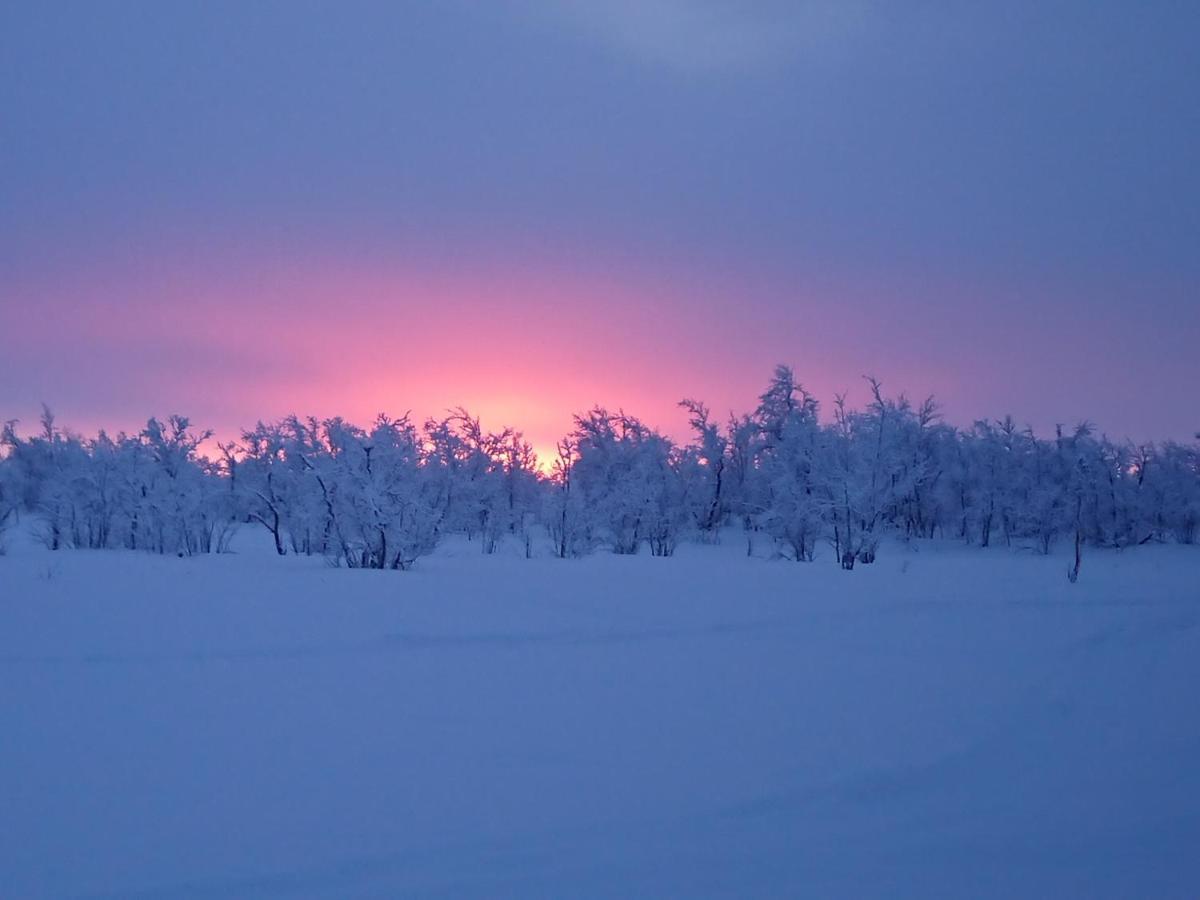 Mattarahkka Northern Light Lodge Kiruna Eksteriør bilde